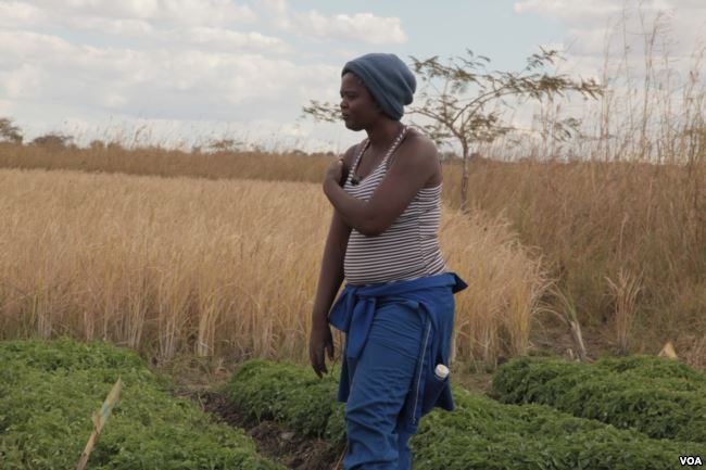 A woman stands in a Malawian farm looking off to the left.